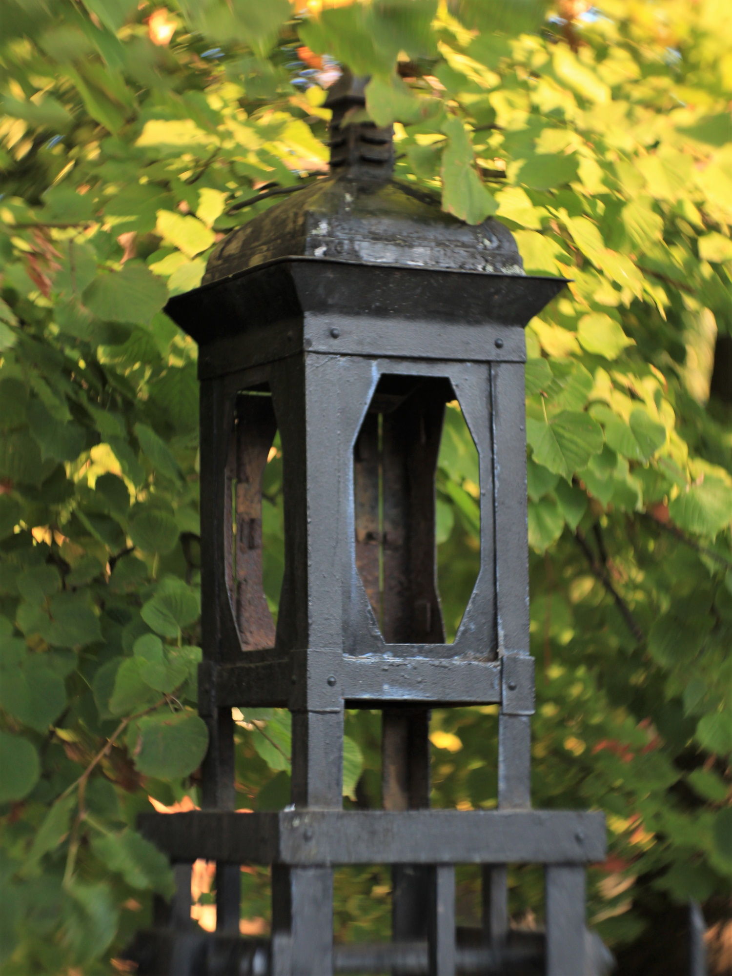 The Old Lamp Post by Natalia Mamaeva