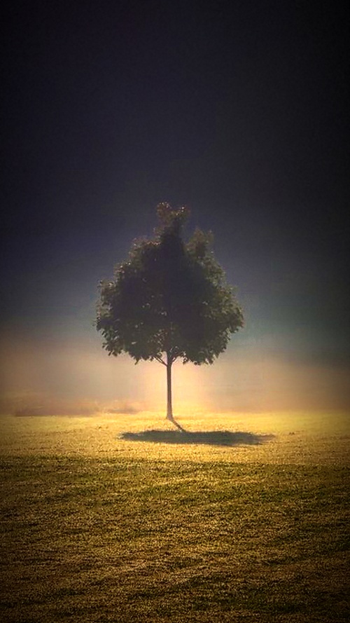 Comment Image