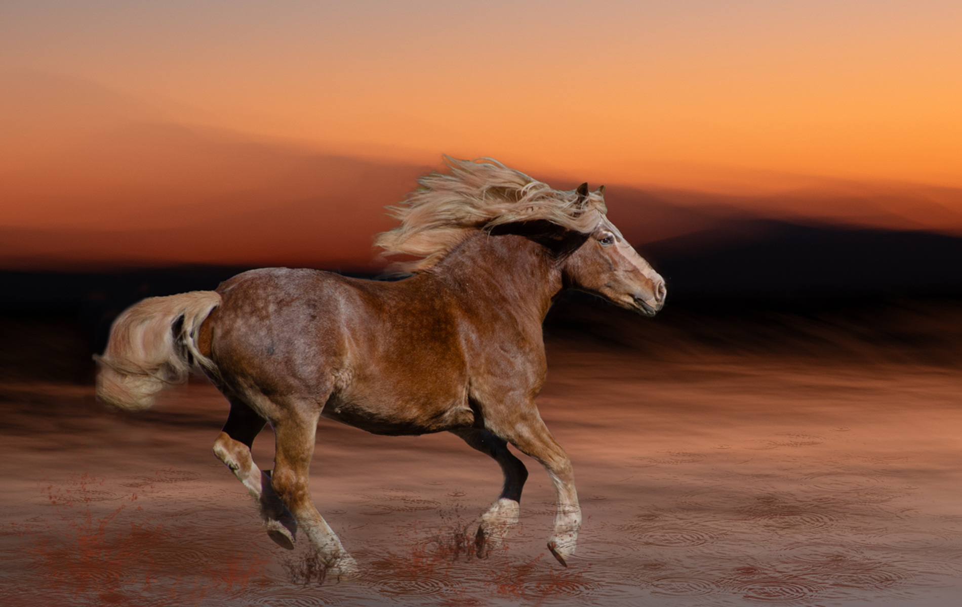 Flowing with the Breeze by Donna Sturla