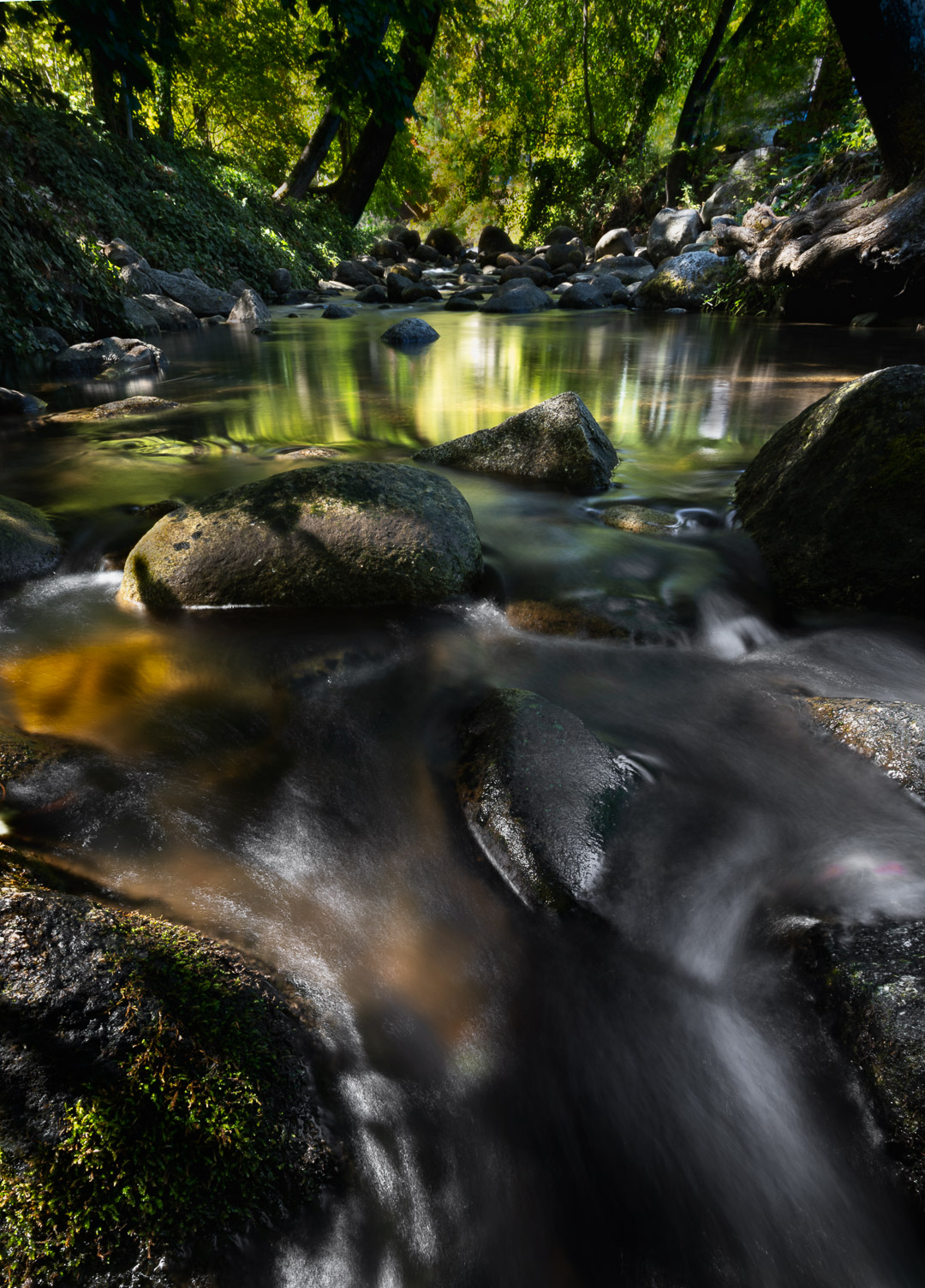  by Michael Griswold