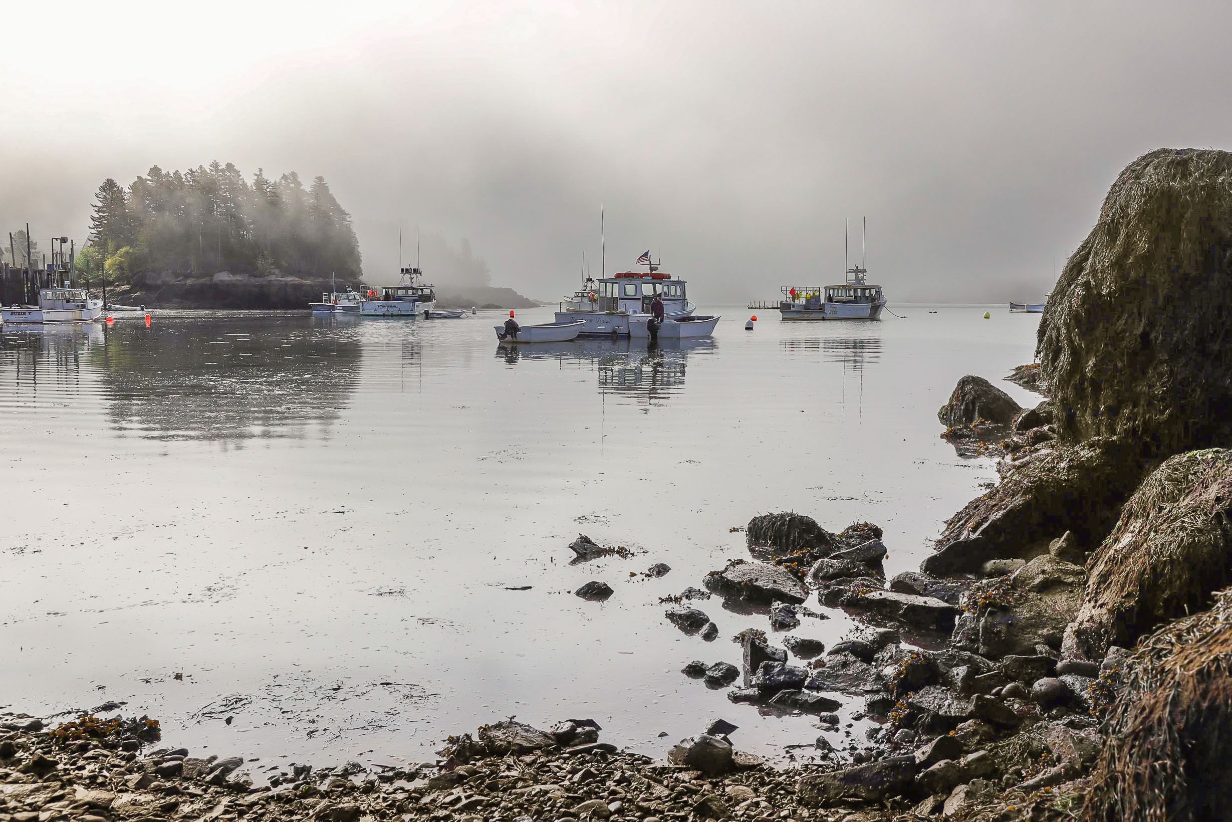 Cutler Harbor, Downeast Maine by Grace Cohen