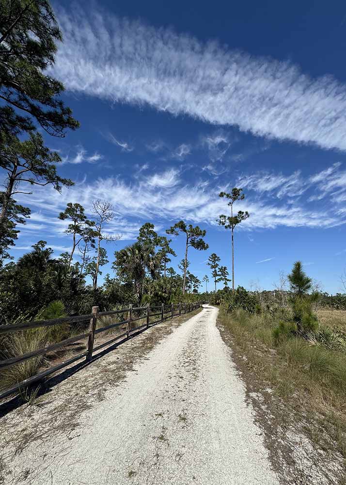 Nice Day for a walk by Marge Barham