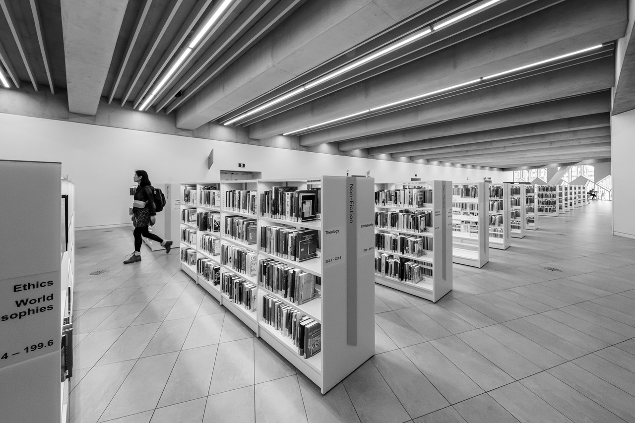 Library by Vincent Cochain