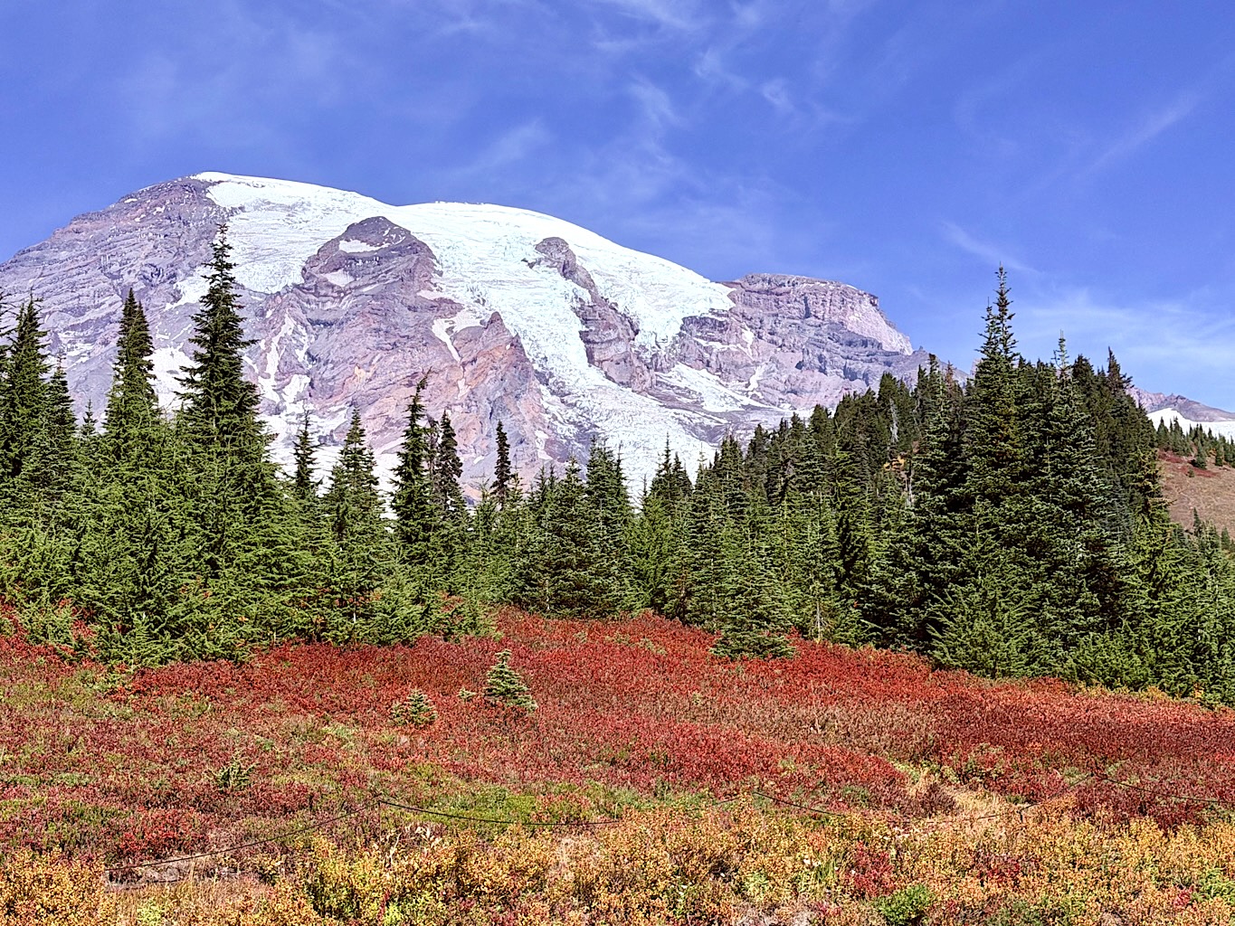  Fall Splendor  by Pamela Hoaglund