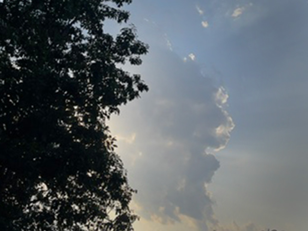 Comment Image