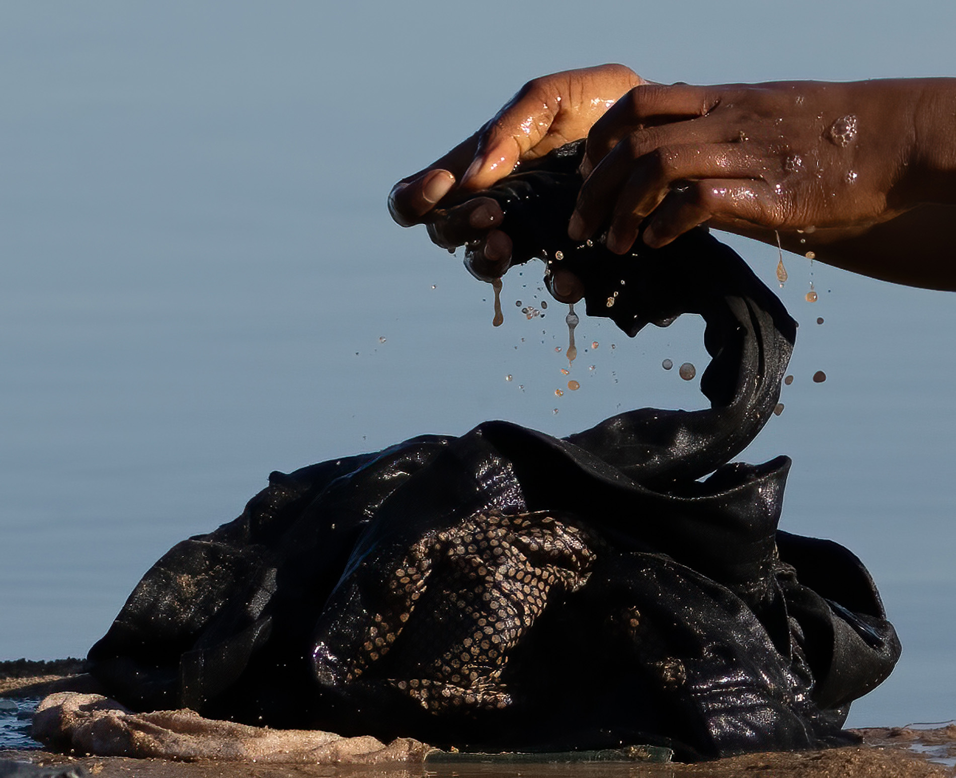 Africa Close up Washing by Donna Becker