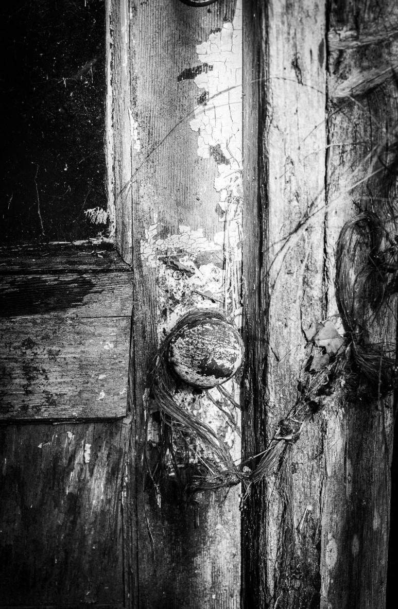 Spooky Door by Chris Reinhold