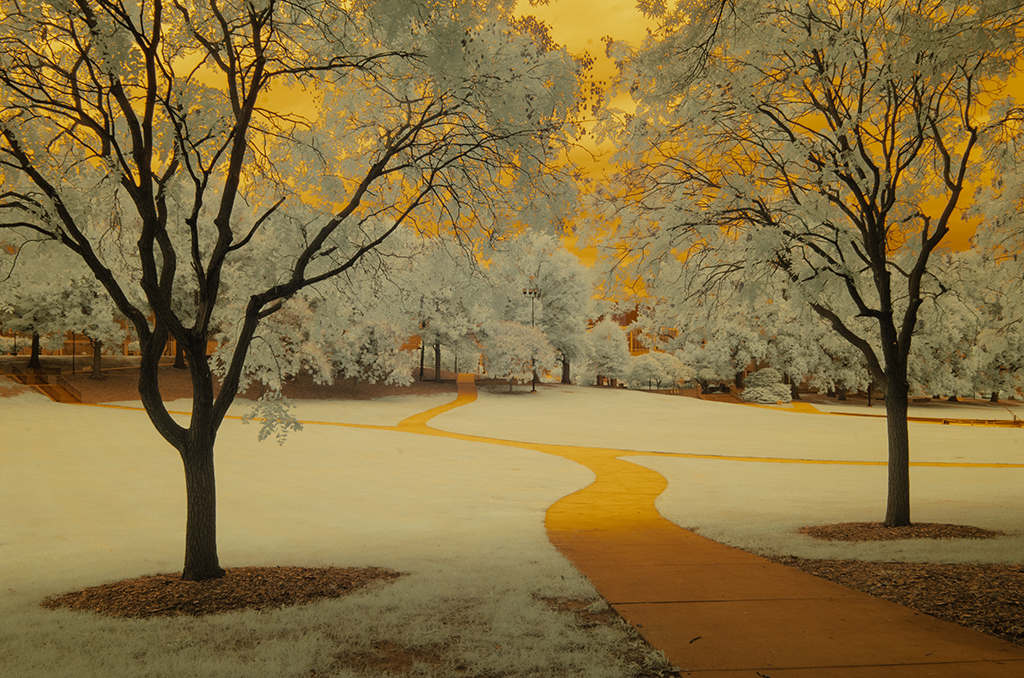 October 2026 - Charles Walker