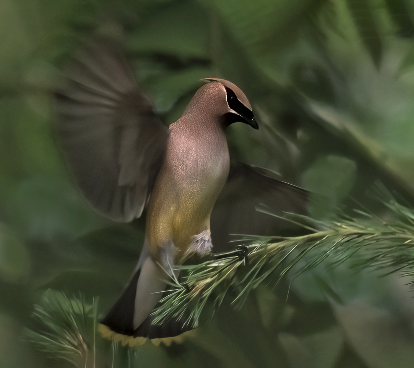 Caught in Motion by Kathleen Colligan
