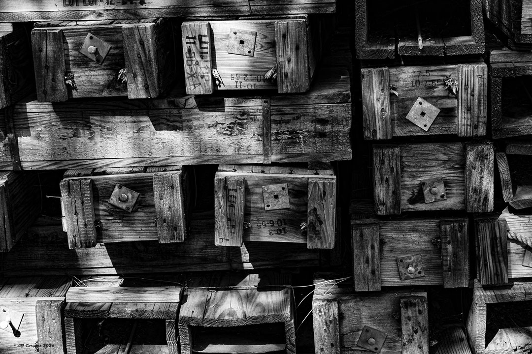 Hidden Treasure by Sheila Cornett