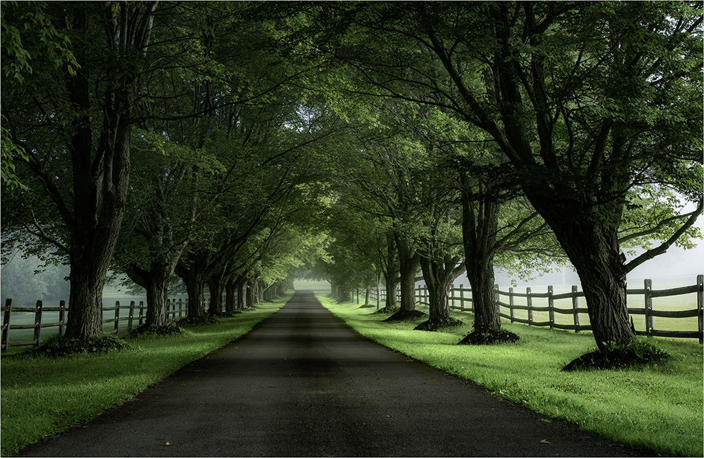 Whitford Farm Lane by Charles Walker